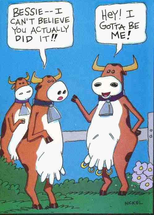 Modern Cow