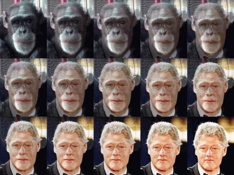 Clinton a monkey?