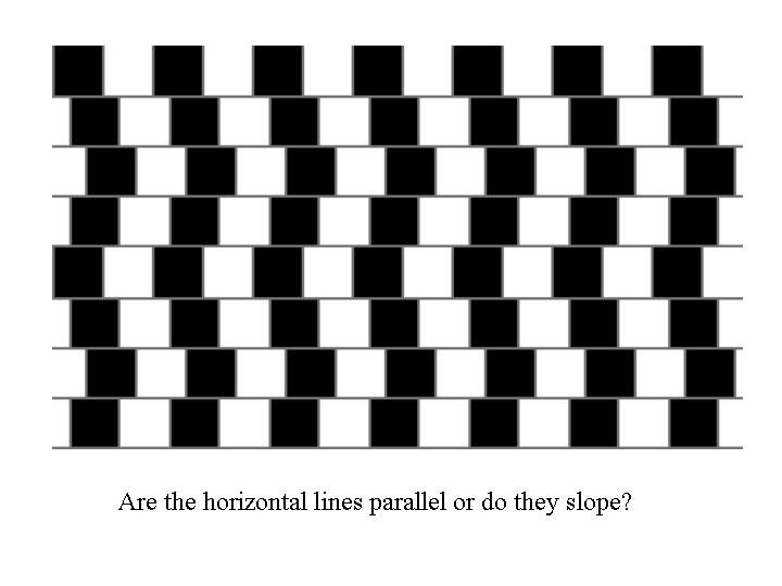 Optical Illusion 4