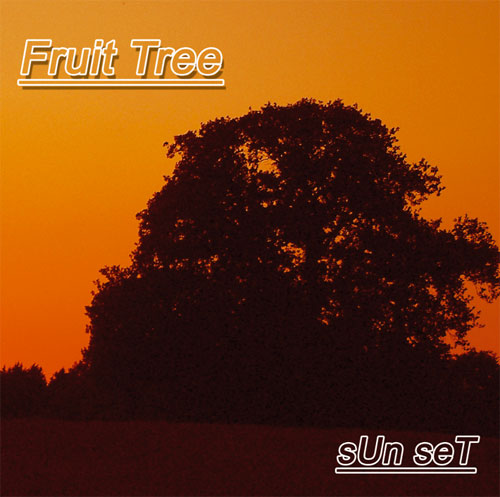 Fruit Tree - Sun Set